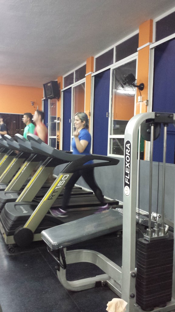 Selênia muito feliz no momento hamster