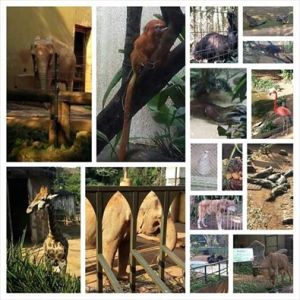 10425112_650361415053070_4574443738252936534_n