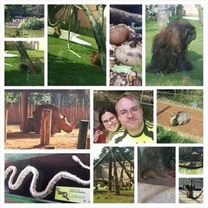 10472847_650364961719382_4234846500723334946_n