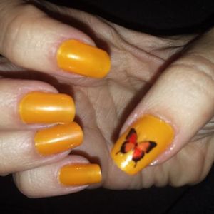 Agora com borboletinha!