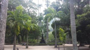 2014-11-13 jardim 02