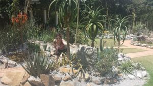 2014-11-13 jardim 04