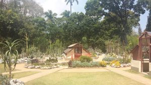 2014-11-13 jardim 05