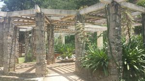 2014-11-13 jardim 07