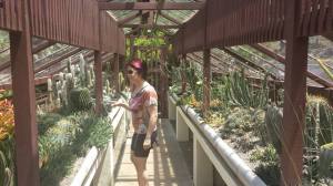 2014-11-13 jardim 11
