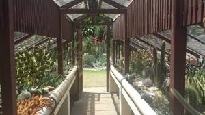 2014-11-13 jardim 14
