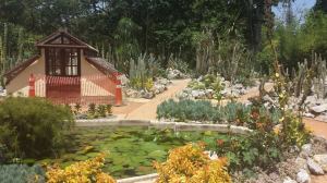 2014-11-13 jardim 15