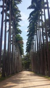2014-11-13 jardim 21
