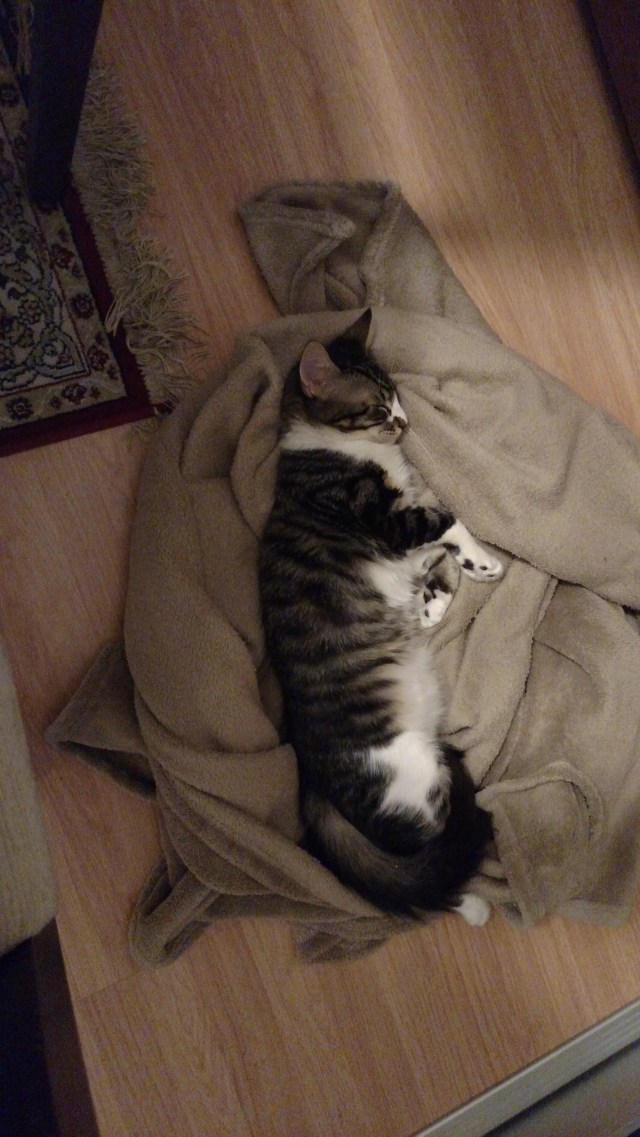 2015-11-06 00.37.53.jpg