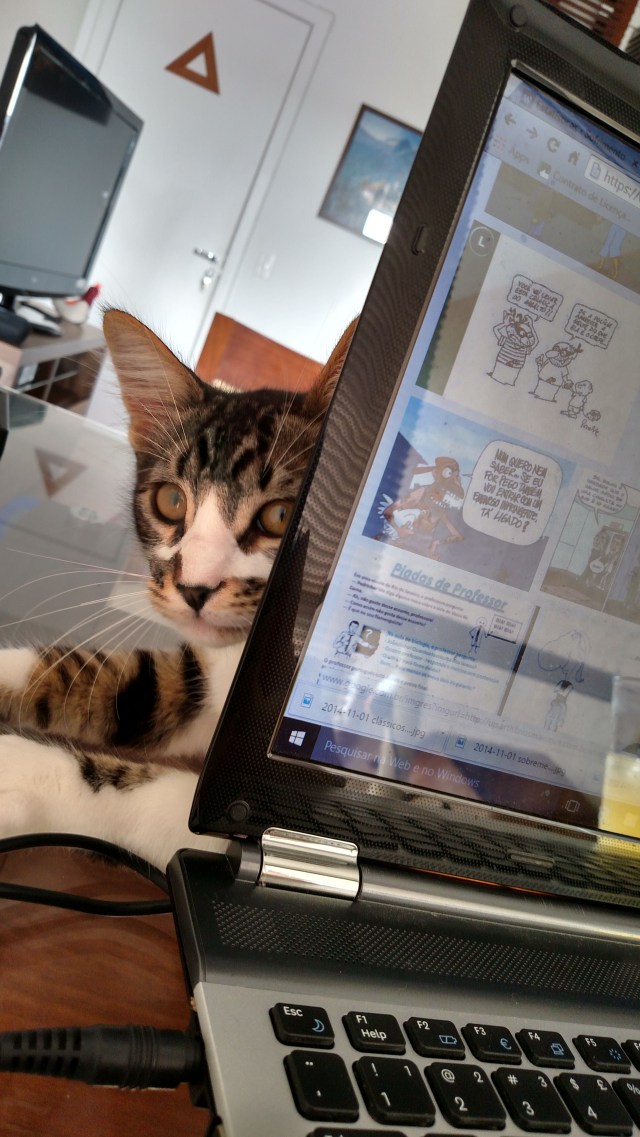 2015-11-09 17.51.45.jpg